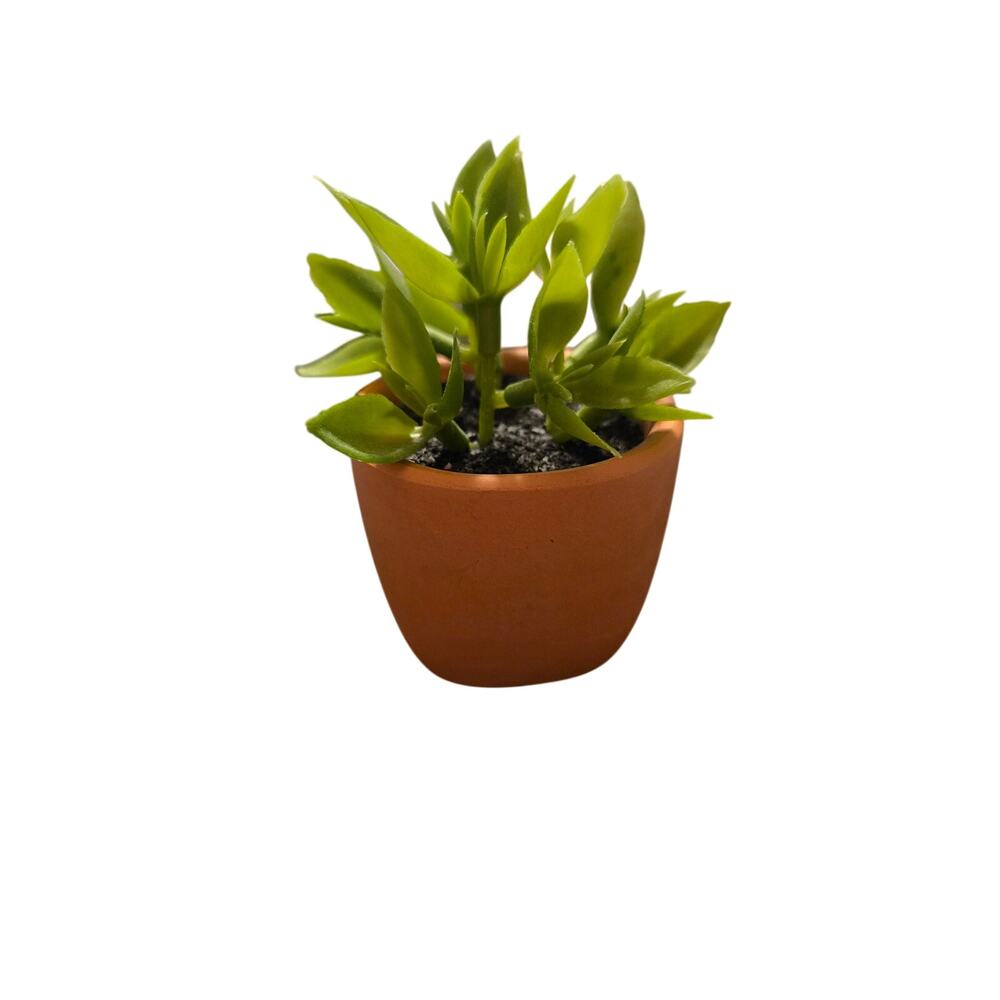 Faux Jade Succulent in Terracotta Pot Mini Artificial Desk Plant 3" Greenery